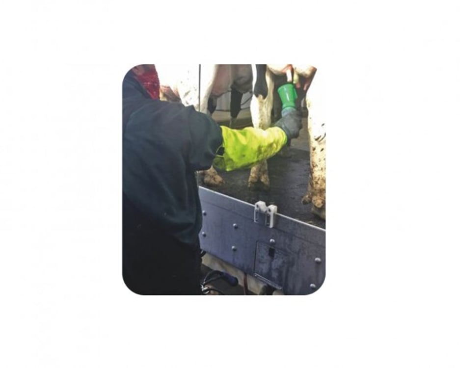 Hygiene Gloves, view 1
