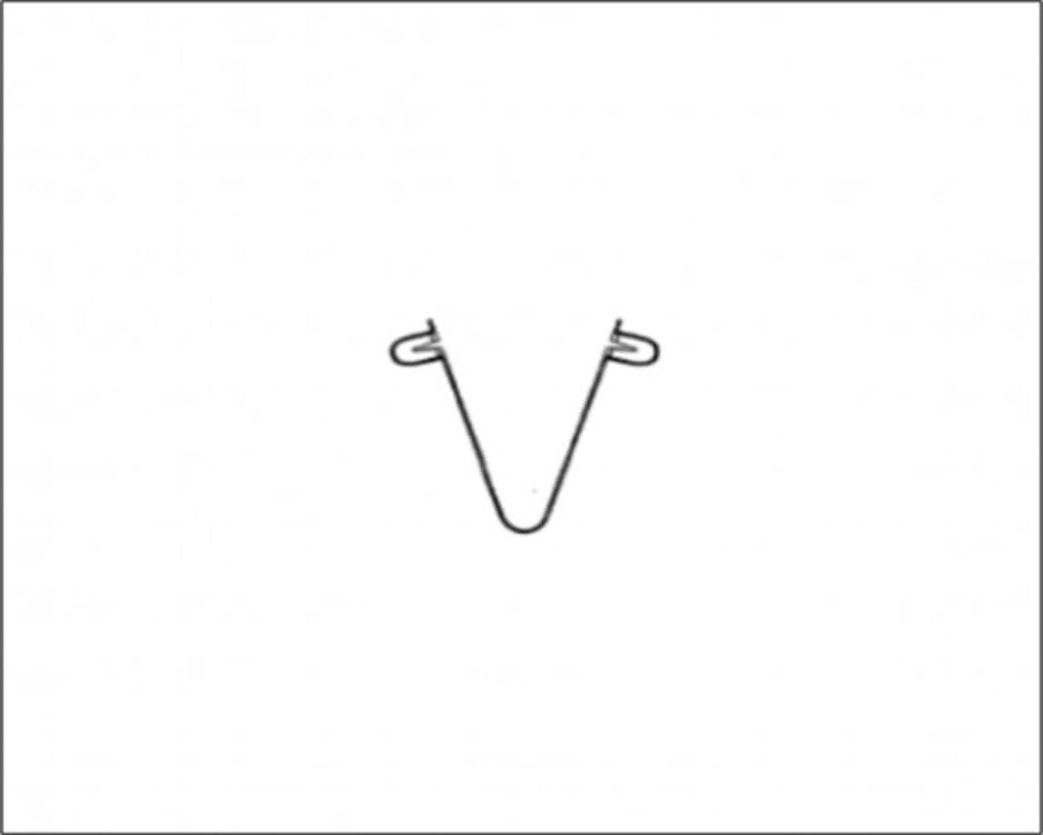 Spring Pin, view 1