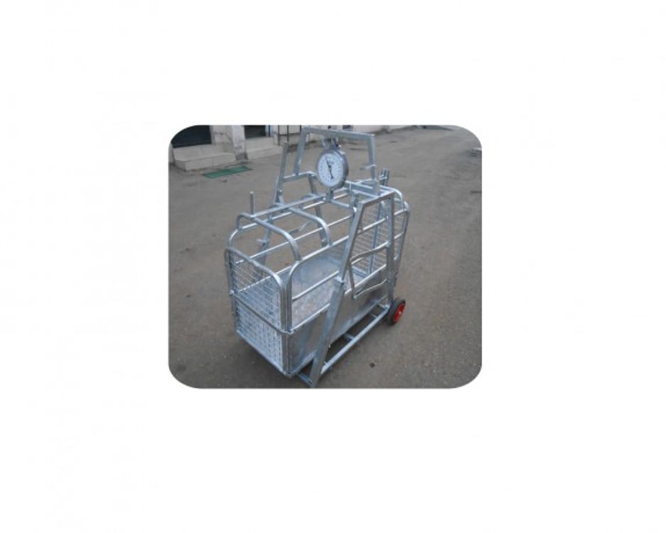 Weighing Scales, view 1