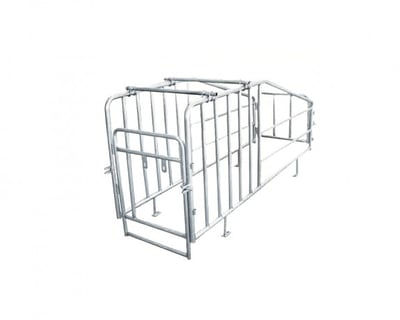 GESTATION PEN, Pig Penning